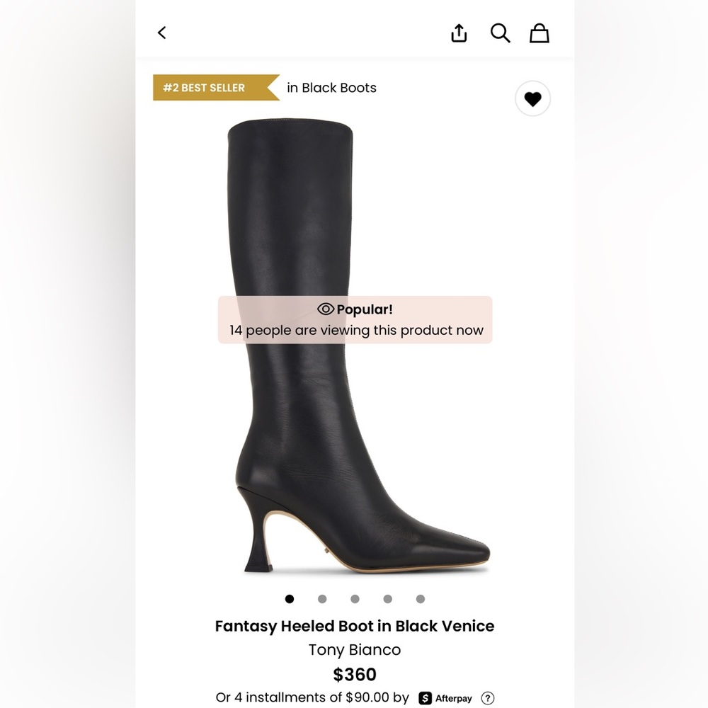 Tony Bianco Black Venice Heeled Boot